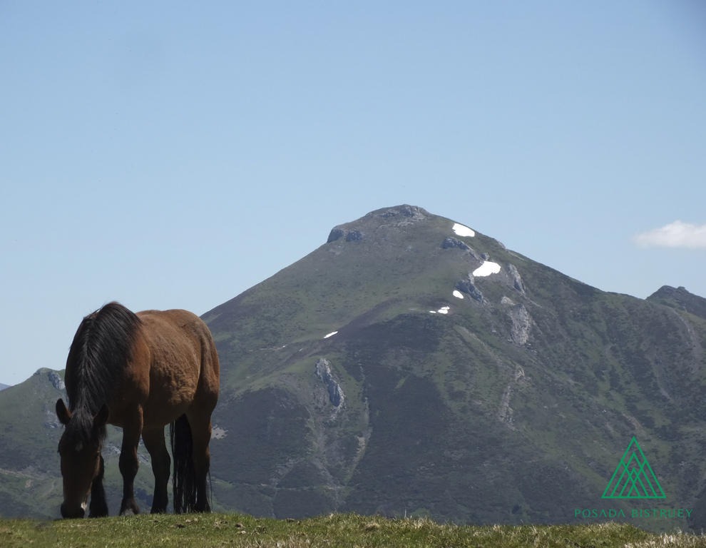 Posada Rural Bistruey Potes Værelse billede